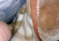 Tabatha kanka pornosu onu kedi temizler