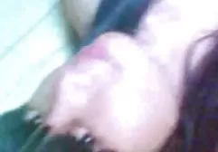 Herkes şuna bir göz para karşılığı pornosu atın kedi sever